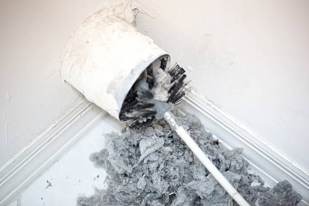 Best Dryer Vent Cleaning Services  in Eerlin, ND